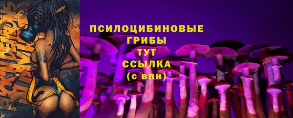спиды Бугульма