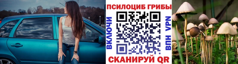 Галлюциногенные грибы прущие грибы  Людиново 